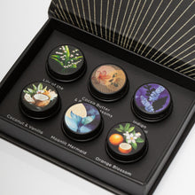  Solid Perfume Summer Petite Collection
